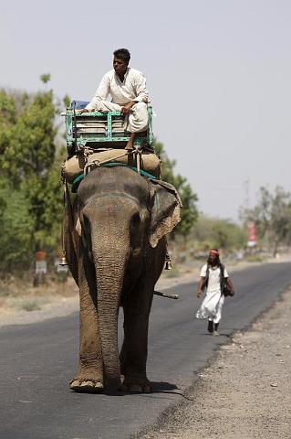 210 Onderweg naar Ranakpur.jpg